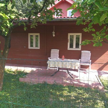 Rustic Country House In Snagov Appartamento Esterno foto