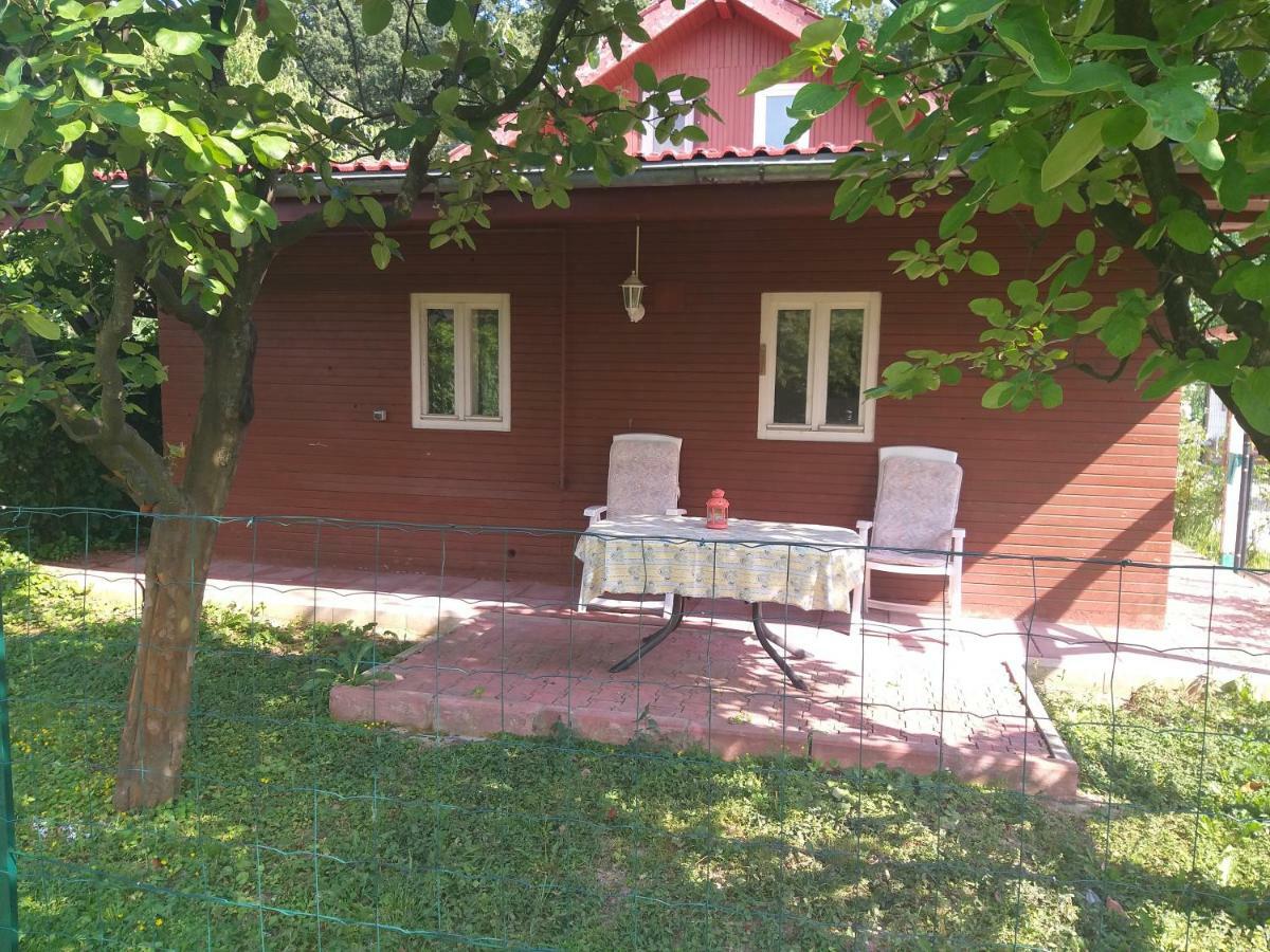 Rustic Country House In Snagov Appartamento Esterno foto